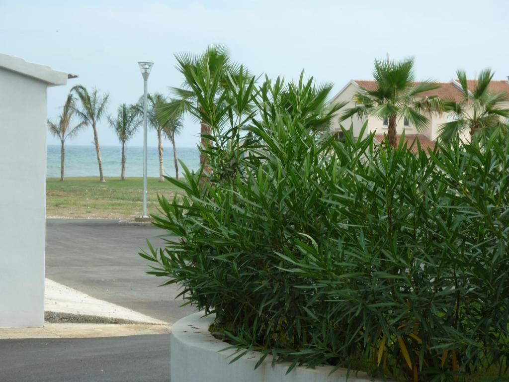 Residence Marea resort Santa-Lucia-di-Moriani Exterior foto